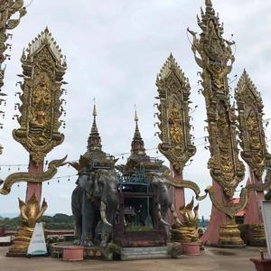 只为钱夜不能寐 不为感情流一滴泪 【正总★歪总专属定制】