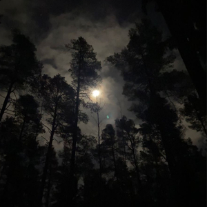 art deco (instrumental (slowed & reverb with rain))