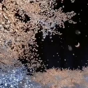 星河咫尺的守望