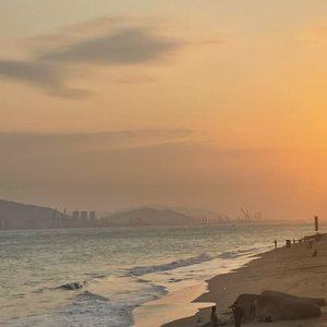 爱情骗子我问你（合唱版）