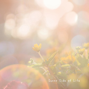Sunny Side of Life