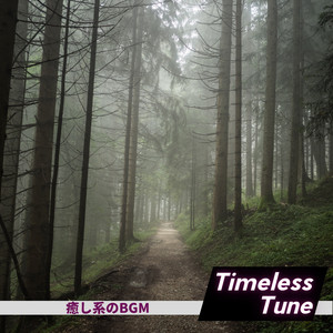 Meditation on the Mountainside