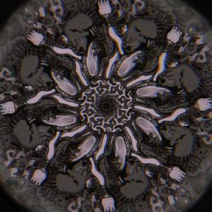 –o– 未来景イノセンス。