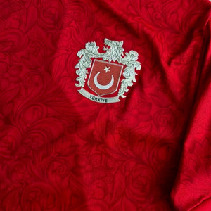 Türkiye'm (World Cup Song 2026)