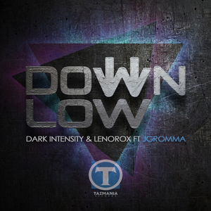 Down Low (Radio Edit Explicit)