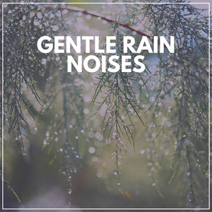 Lenitive Rain Noises