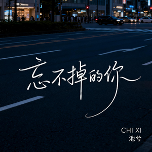 忘不掉的你（抒情版）