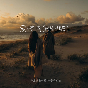爱情鸟(R&B版)