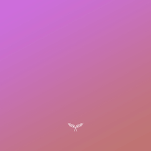 У меня есть план (prod. by Presco Lucci)