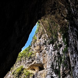 茉莉花 琵琶翻弹