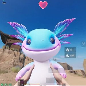 古墓迷途小蝾螈