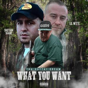 What You Want (feat. Shotgun Shane & Lil Wyte)