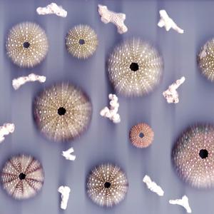 amends (bonus track) (feat. NAVE)