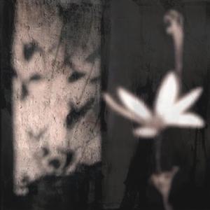 Gravestone (feat. DaysToWaste)