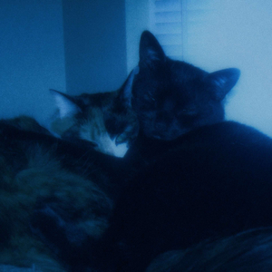 ashen tide (speed up)