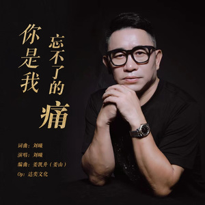 你是我忘不了的痛