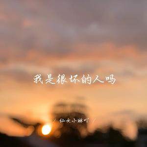 我是很坏的人吗