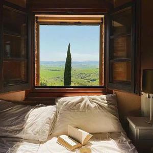 十二月的奇迹——你的叽叽