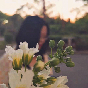 牵丝戏（吉他弹唱版）