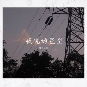 没有星星的夜晚还有我
