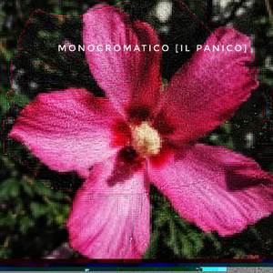 Monocromatico [Il panico]