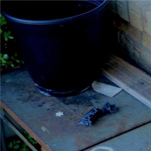 ...and then nothing remained