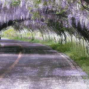 晚风吹过二十二