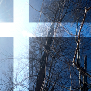 Похожим