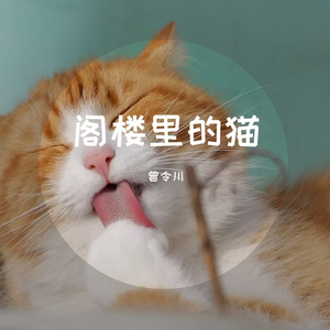阁楼里的猫