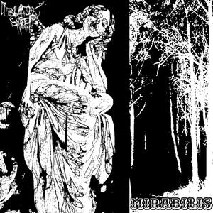 Mirabilis