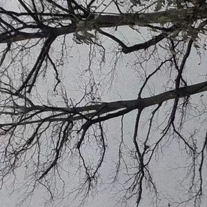 #Free Hro pt1 130bpm(prod.oceandrv x ZJPhantom)