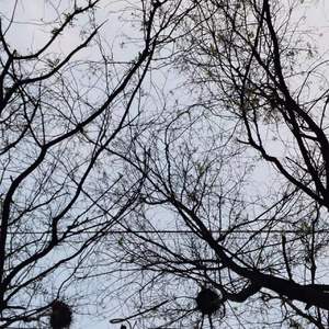 30秒握不住的他剪辑版