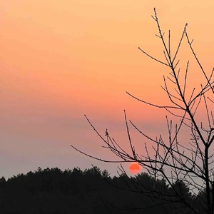 空白帧（Blank Frame）