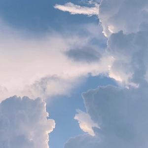 我的果汁分你一半