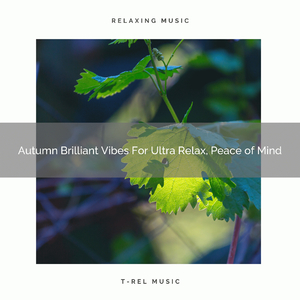 Winter Welcoming Pink Noises For Total Relax, Spiritual Recharge and Sweet Dreams