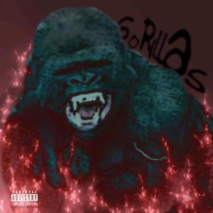 Gorillas