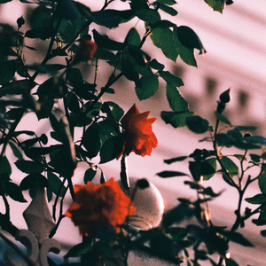 조금 더 힘을 내 2025 Ver.