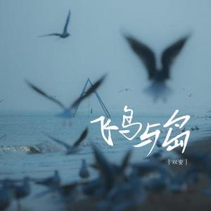 飞鸟与岛x0.86