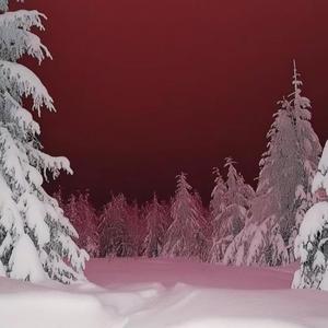 POPSTAR HO (feat. BabyBartier)