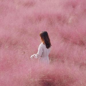 흔들리는 꽃들처럼