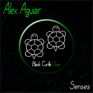 Senses (Original Mix)