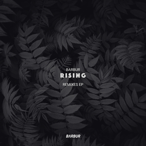 Rising (Ornery Impact Remix)