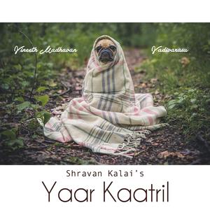 Yaar Kaatril (feat. Vineeth Madhavan)