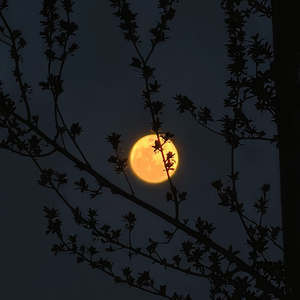 未署名的温柔.wav