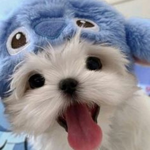 You’re Not Sorry (slowed)