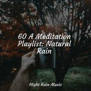 Ocean Waves and Seagulls Overhead