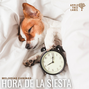 Comodidad en un día nublado