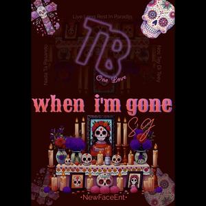 When I'm Gone (feat. TB †)