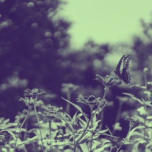 抚慰的在家休息回忆