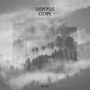 The Feet (Listener Edition)